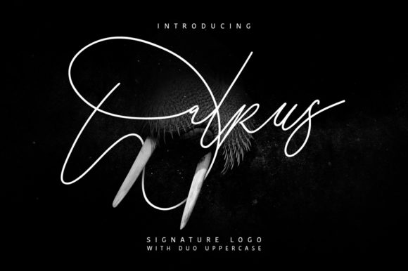 Walrus: A Script Font for Impact